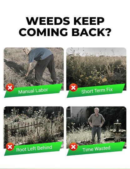 Cyclosinone Herbicide Granules 🔥Buy 1 Get 1 Free 🔥