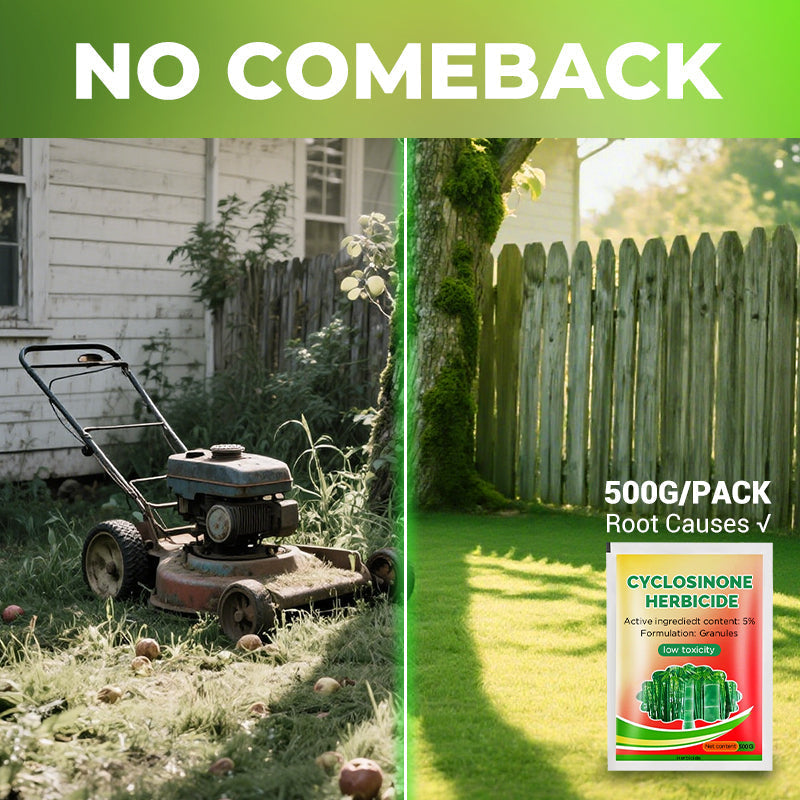Cyclosinone Herbicide Granules 🔥Buy 1 Get 1 Free 🔥