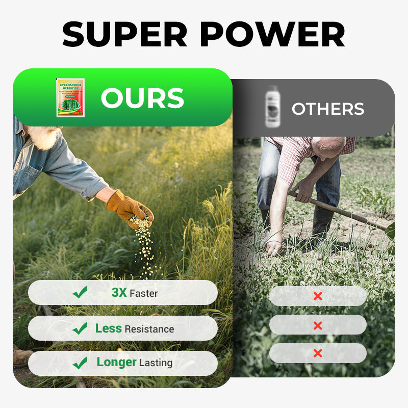 Cyclosinone Herbicide Granules 🔥Buy 1 Get 1 Free 🔥