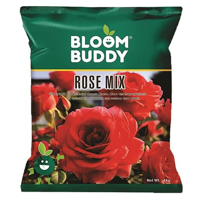 🌹 Mixed-color Climbing Rose | Year-Round Blooming (UK Imported) 😍 50% off 😍 FOR TODAY ONLY !!! 🔥