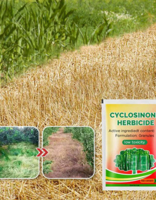 Cyclosinone Herbicide Granules 🔥Buy 1 Get 1 Free 🔥